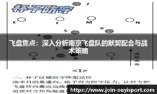 飞盘焦点:深入分析南京飞盘队的默契配合与战术策略